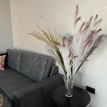 Vila Diamond Serenity